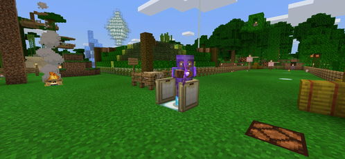 minecraft1.21国际版自制版下载-minecraft1.21国际版无限资源下载v.7.51 minecraft1.21国际版自制版下载-minecraft1.21国际版无限资源下载v.7.51