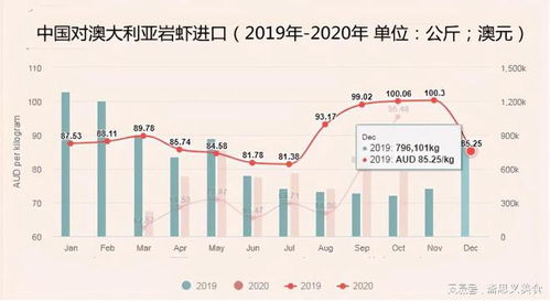 4949澳彩资料免费公开|探索未来教育新趋势_极限版MIixue.6.346
