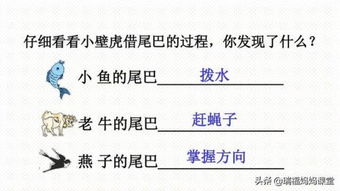 正版综合资料一资料大全|综合数据解释落实_连续集.9.517